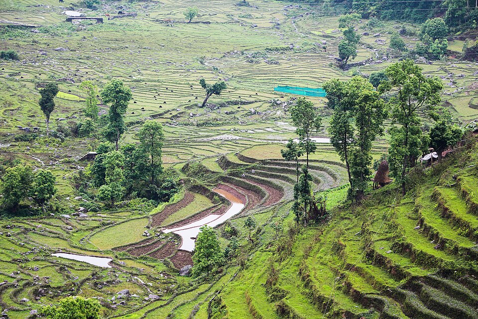Landscape of Sikkim 02