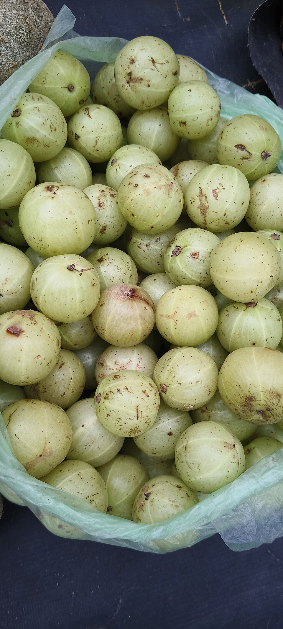 Amla fruits (Phyllanthus emblica); the photograph identifies a plant, not a demonstrated longevity treatment