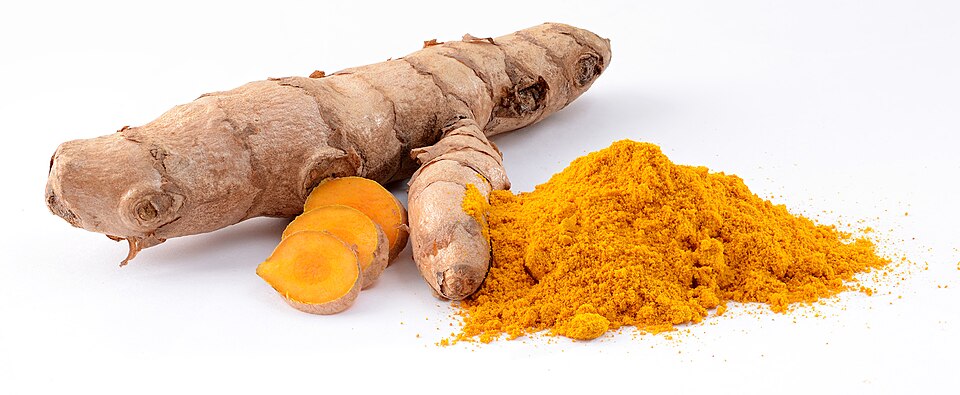Fresh turmeric rhizome and turmeric powder; these food preparations differ from a concentrated supplement