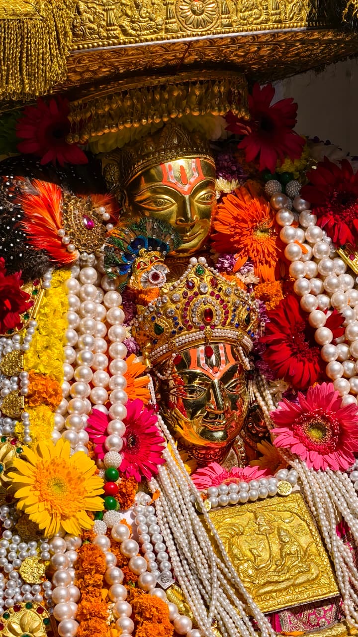 Kullu Deity Palanquin in dussehra 2